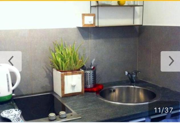 Fiore Delle 5 Terre La Spezia Kamer foto